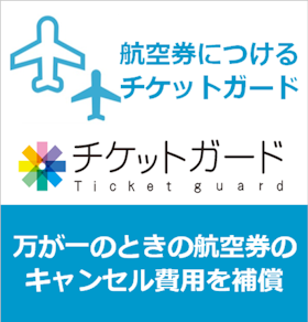 航空券につけるチケットガード